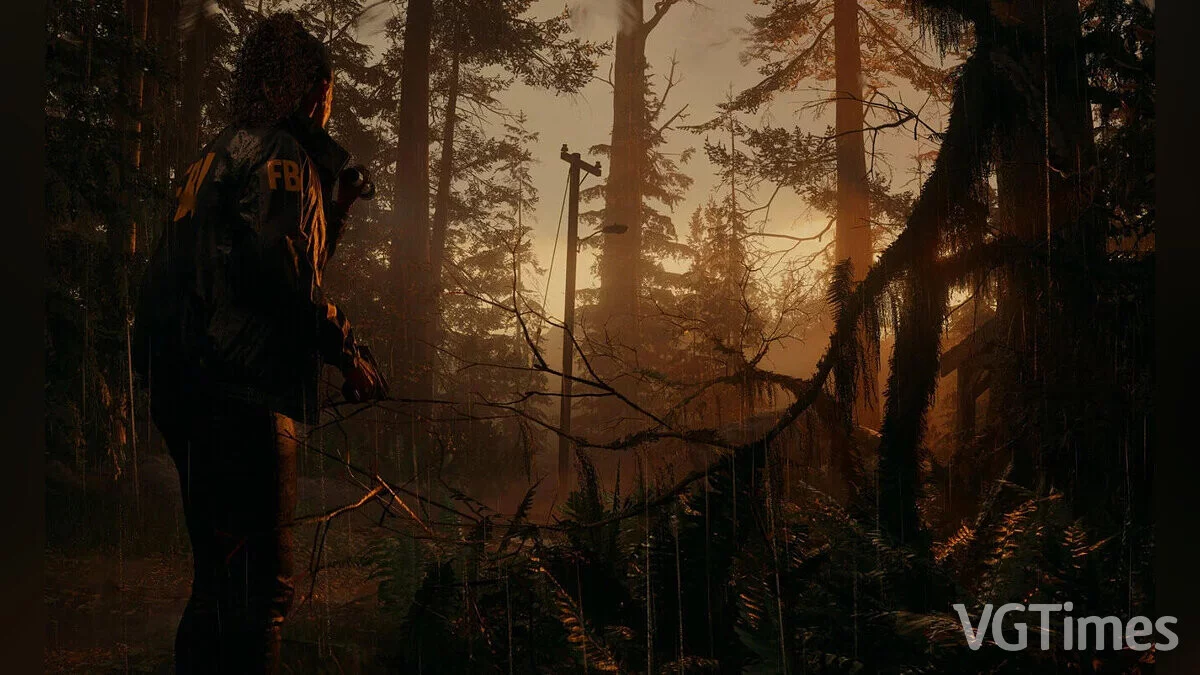 Alan Wake 2 — Патч 1.0.6