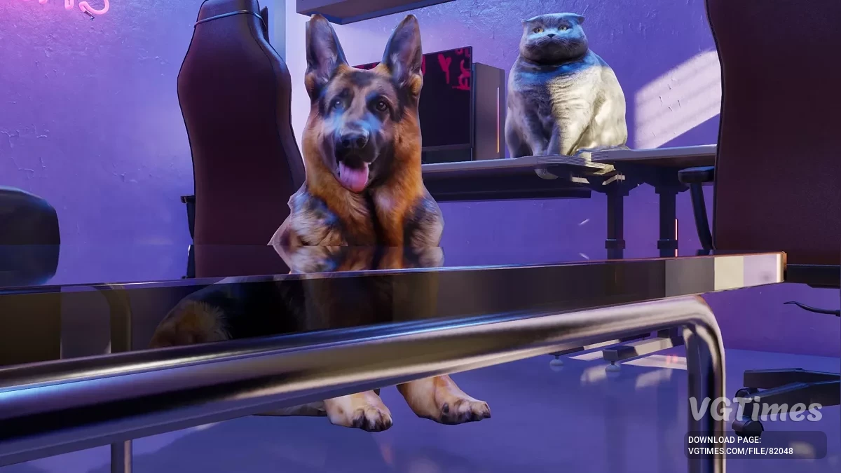 inZOI — Домашние животные (украшения)