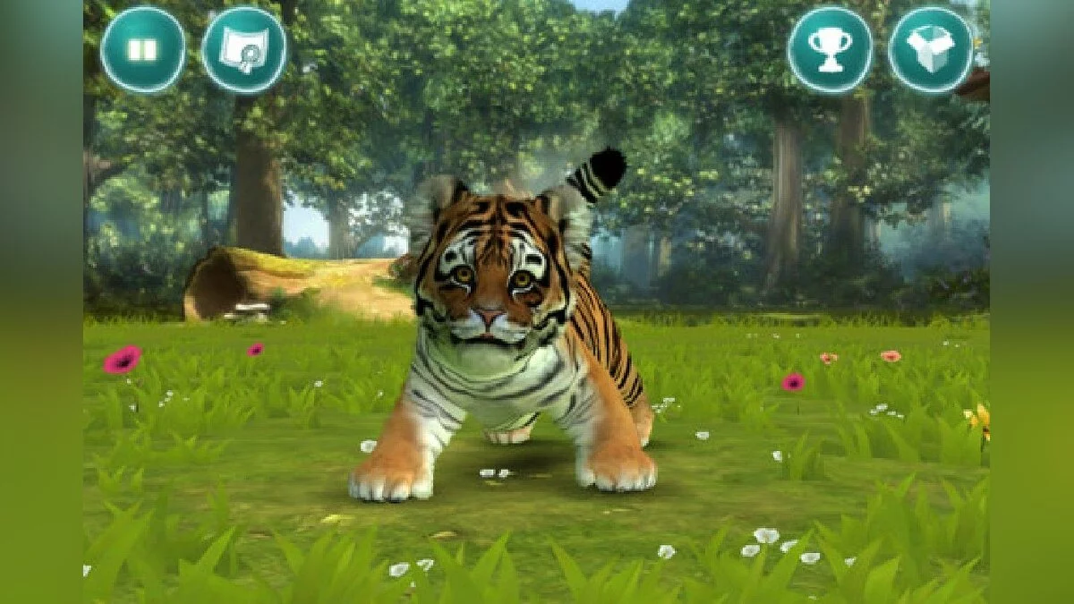 Скриншоты из Kinectimals / Картинка 17