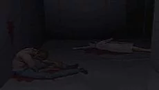 D - дата выхода для PC