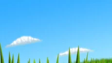 Tumblebugs - дата выхода для Mac