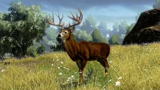 Cabela's Outdoor Adventures - дата выхода для Xbox 360