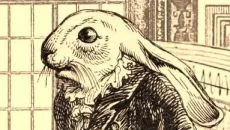 Aviary Attorney - дата выхода для Nintendo Switch