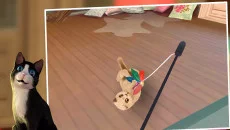 Cat Hotel - дата выхода для Android