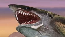 Hungry Shark World - дата выхода для Android