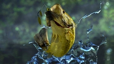 Fishing Planet - дата выхода для Linux