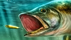 Fishing Master похожа на Fishing Master