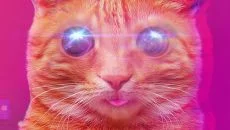 PUSS! - дата выхода для Android