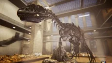 Dinosaur Fossil Hunter - дата выхода для PC