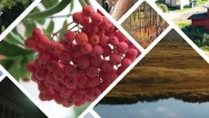 Wanderlust: Transsiberian - дата выхода для Linux