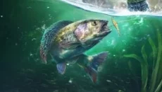 Fishing Master похожа на Fishing Master