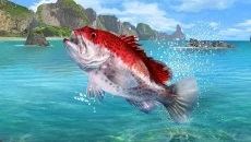 Fishing Clash - дата выхода для Android