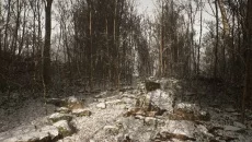 Abandoned - дата выхода для PlayStation 5