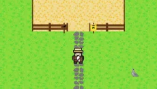 Animal world - дата выхода