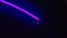 Rain World похожа на Rain World