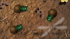 Isopod A RolyPoly Science Game - дата выхода для iOS