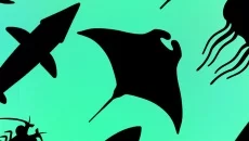 Idle Aquaria: Ocean Evolution - дата выхода для Android