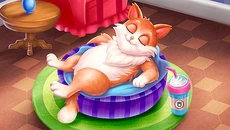 Cat Sort: Purrfect Match - дата выхода для Android