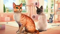 Cat Rescue Story - дата выхода для Nintendo Switch