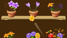 Flower Fusion - дата выхода для Android