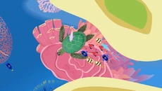 Delfini - дата выхода