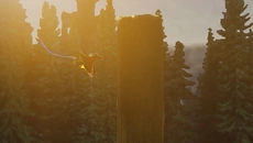 Fly Bird Obstacle 3D - дата выхода для Android