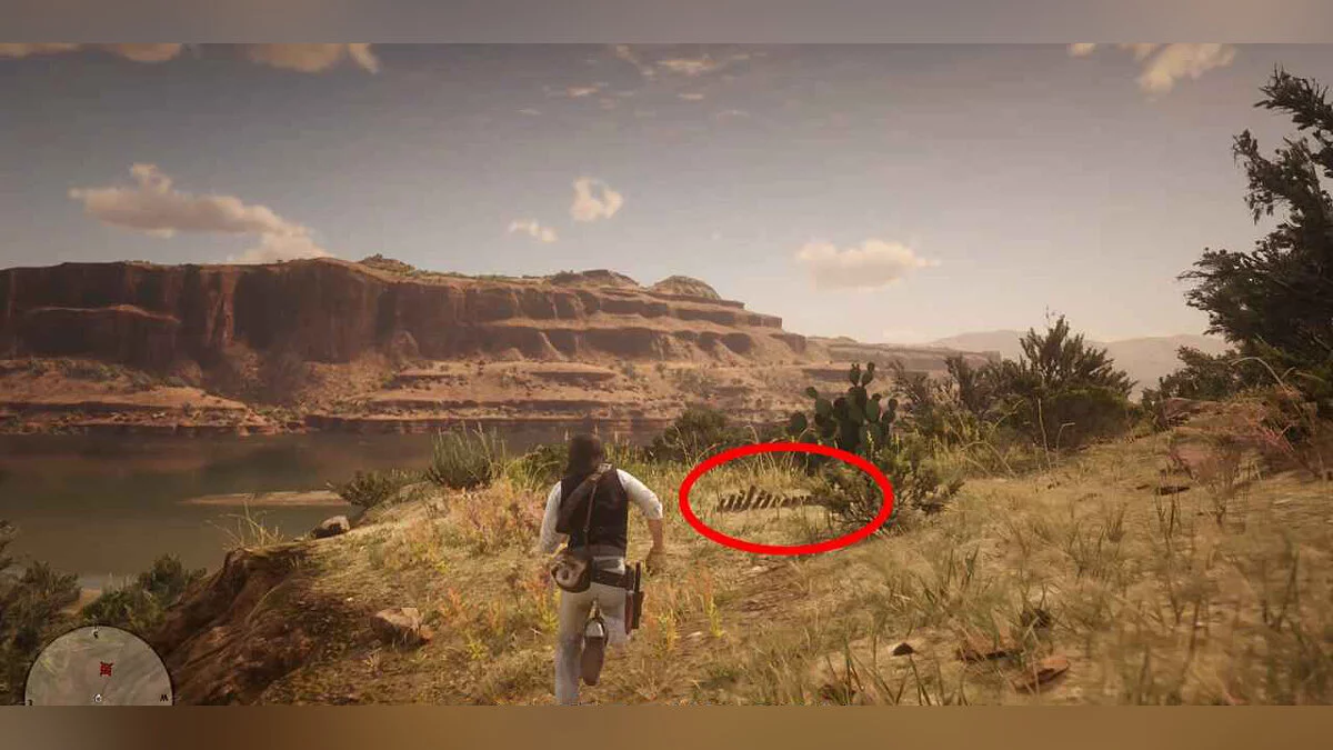 Где найти 30 костей динозавров (Dinosaur Bones) в Red Dead Redemption 2 — гайд (карта и описание)