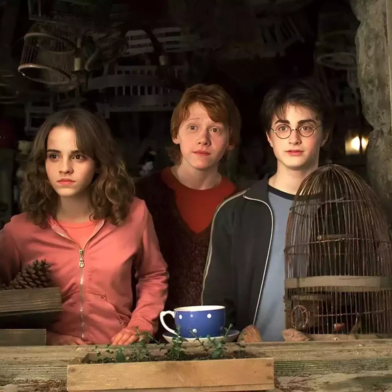 Тест: кто вы из «Гарри Поттера», Альбус Дамблдор или Тёмный лорд?